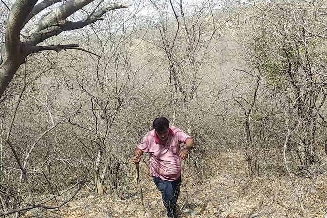 Jaipur Trekking and Hiking Tour with Guide - Your English-speaking guide (Jai) and why it matters