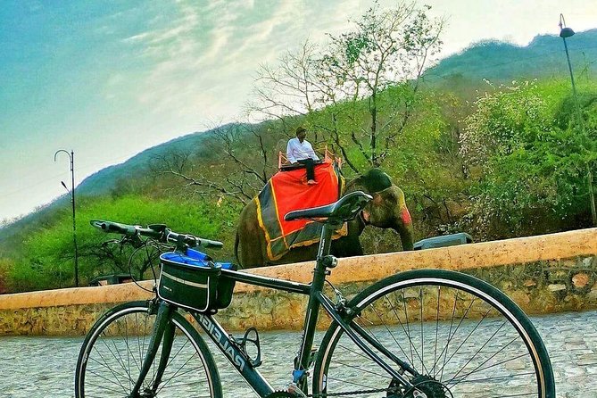 Nahargarh Cycle Tour in Jaipur - Temple time: Govind Devji after the downhill return