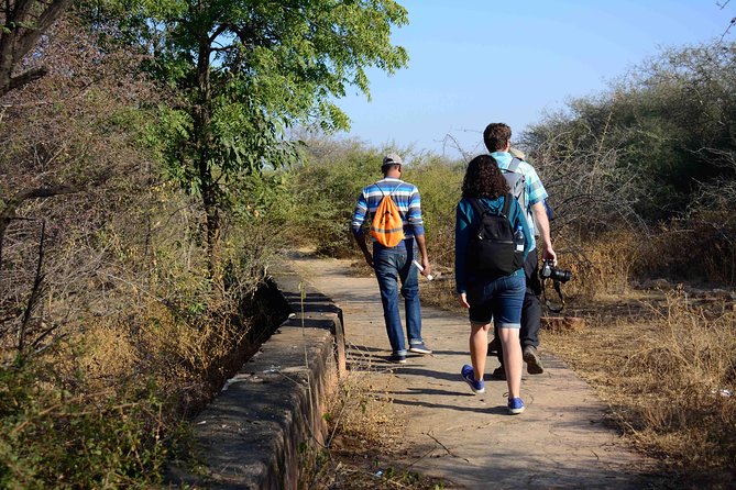 Nahargarh Water Walk - Guided 2-Hour Heritage Tour in Jaipur - Starting point: Nahargarh Fort and the view from the start