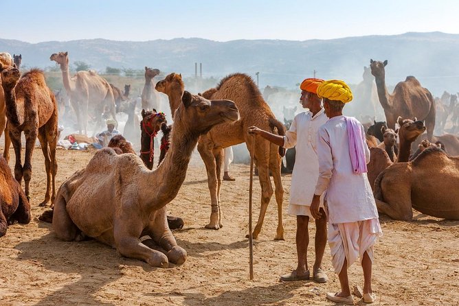 Private Day Trip to Ajmer and Pushkar from Jaipur - Brahma Temple: a rare stop dedicated to Brahma