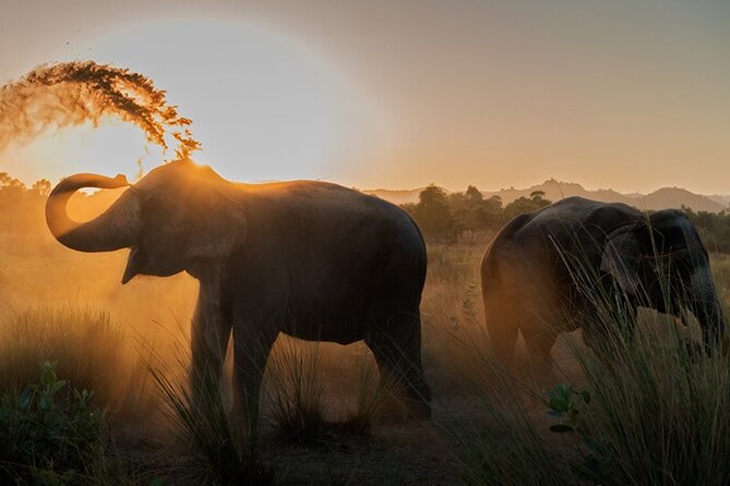 Private Elephant Sanctuary - Why this Jaipur sanctuary day feels different
