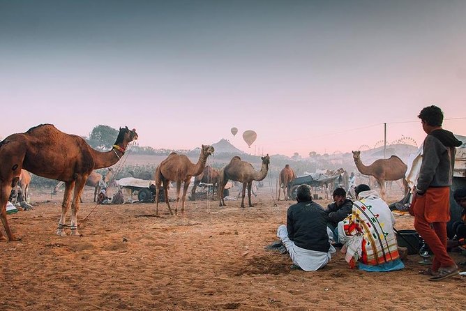 Private Full Day Jaipur Sightseeing Tour By Tuk-Tuk (Rickshaw) - Jaipur by tuk-tuk: faster bearings, better city feel