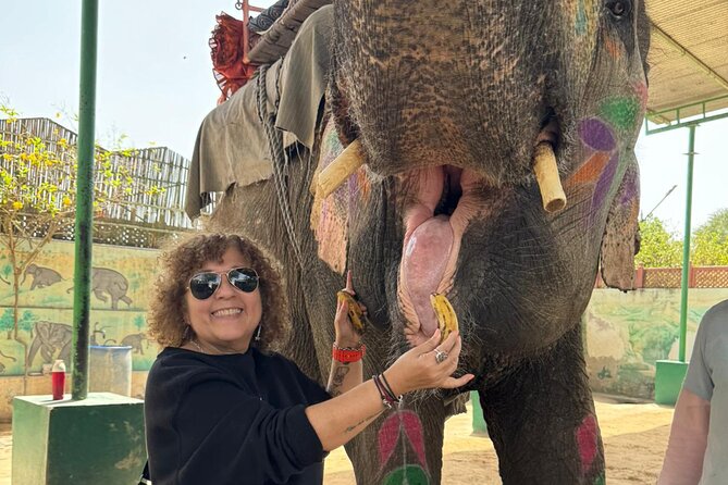 Private Jaipur Day Tour with Driver and Guide- All Inclusive - Stop 6: The City Palace for the Royal Seat You Can Actually Walk Through