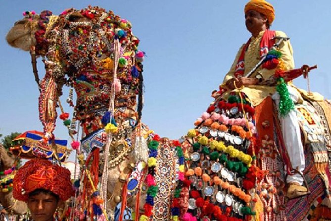 Private Same Day Trip to Pushkar from Jaipur - Lunch stop timing: a small break that keeps the day comfortable