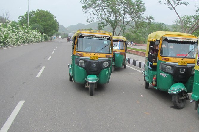 Private Tuk-Tuk Tour of Jaipur with Guide - City Palace: the royal base that makes the rest of the day click
