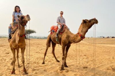 Pushkar Day Trip from Jaipur – Private Car, Safari, Guide & Lunch - Morning start: Brahma Temple and getting your bearings
