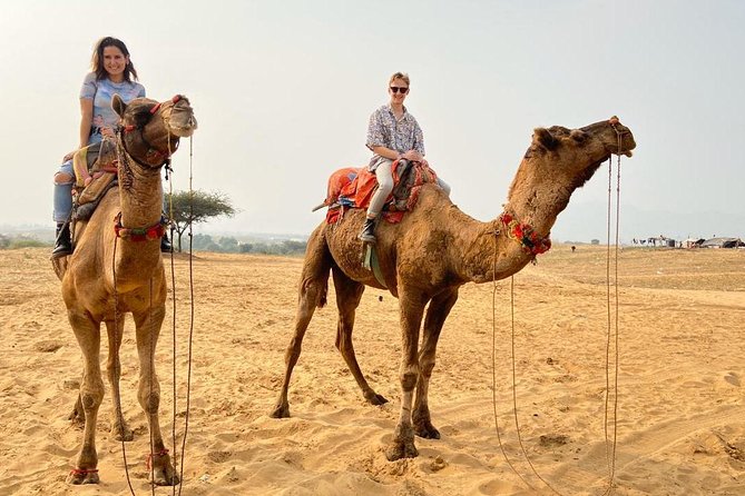 Pushkar Day Trip from Jaipur – Private Car, Safari, Guide & Lunch - Morning start: Brahma Temple and getting your bearings