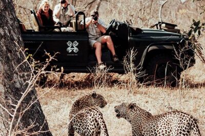 Safari In Jhalana Leopard Conservation Reserve, Jaipur - The forest expert guide: where the experience can exceed the drive