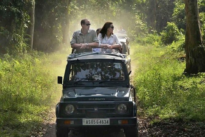 Sariska Tiger Reserve Safari tour from Jaipur - Sariska Tiger Reserve: tigers and birds, not just tigers