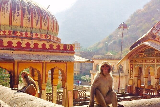 Travel Through the Streets of Jaipur by Tuktuk with a Local - The route that ties together Amber Fort, Jantar Mantar, and the markets