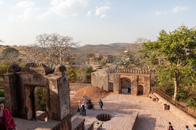 Two Night Safari Experience Ranthambore National Park &Transfers - Day 3: Chambal sanctuary time, then Ranthambore Fort and Ganesh Temple