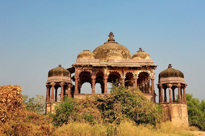Two Night Safari Experience Ranthambore National Park &Transfers - Where this trip shines (and where it might not fit)