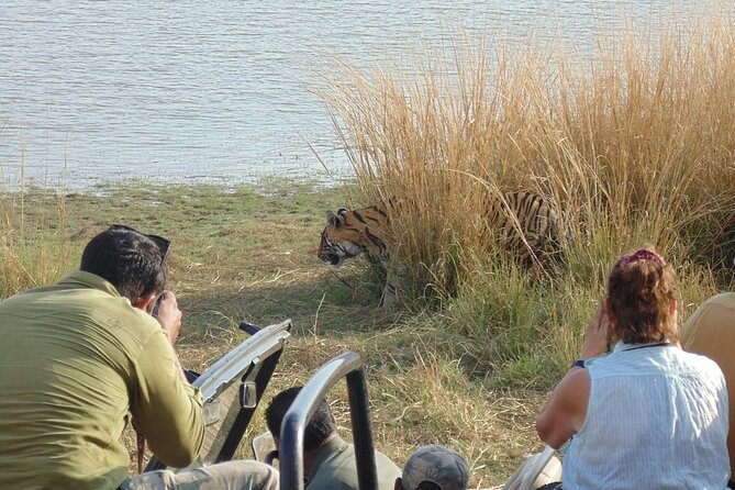 Two Night Safari Experience Ranthambore National Park &Transfers - Day 1: Jaipur transfer, then Abhaneri’s Chand Baori stepwell