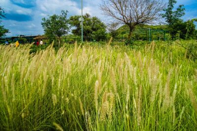 Uncover Hidden Treasures of Rural Life on a Village Tour - Hands-On Village Life: Farming, Weaving, Cooking, and Small-Scale Work