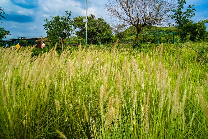Uncover Hidden Treasures of Rural Life on a Village Tour - Hands-On Village Life: Farming, Weaving, Cooking, and Small-Scale Work