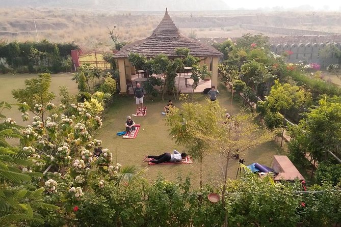 Yoga In Jaipur - Key Highlights You’ll Actually Care About